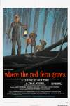Постер к фильму «Где растет красный папоротник» (1974, Худ. Ральф МакКуорри)