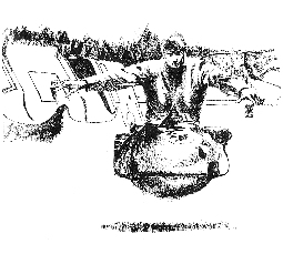Goblin Night (illustration by John Schoenherr, 1965)